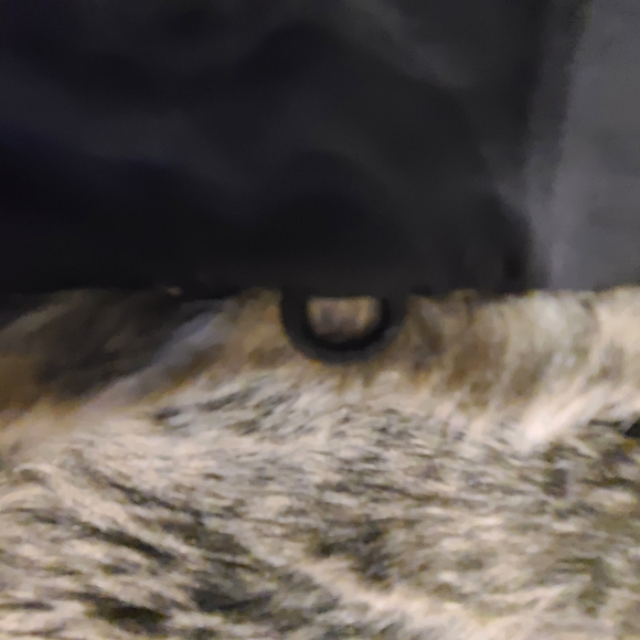 Talula EUC faux fur brown vest sz xxs - Picture 9 of 10